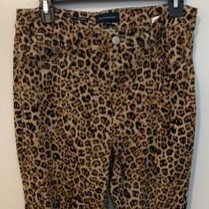 Charter Oak, Size 8, Chita Print, Jean Like Straight Leg Pants